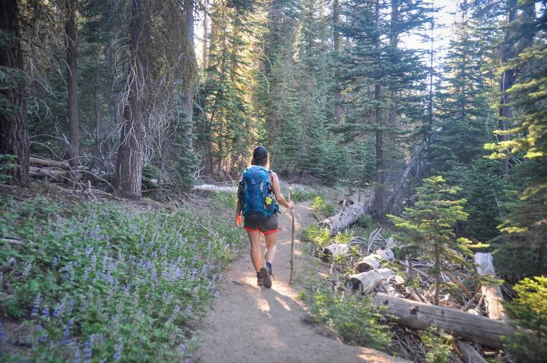 store bought hiking snacks