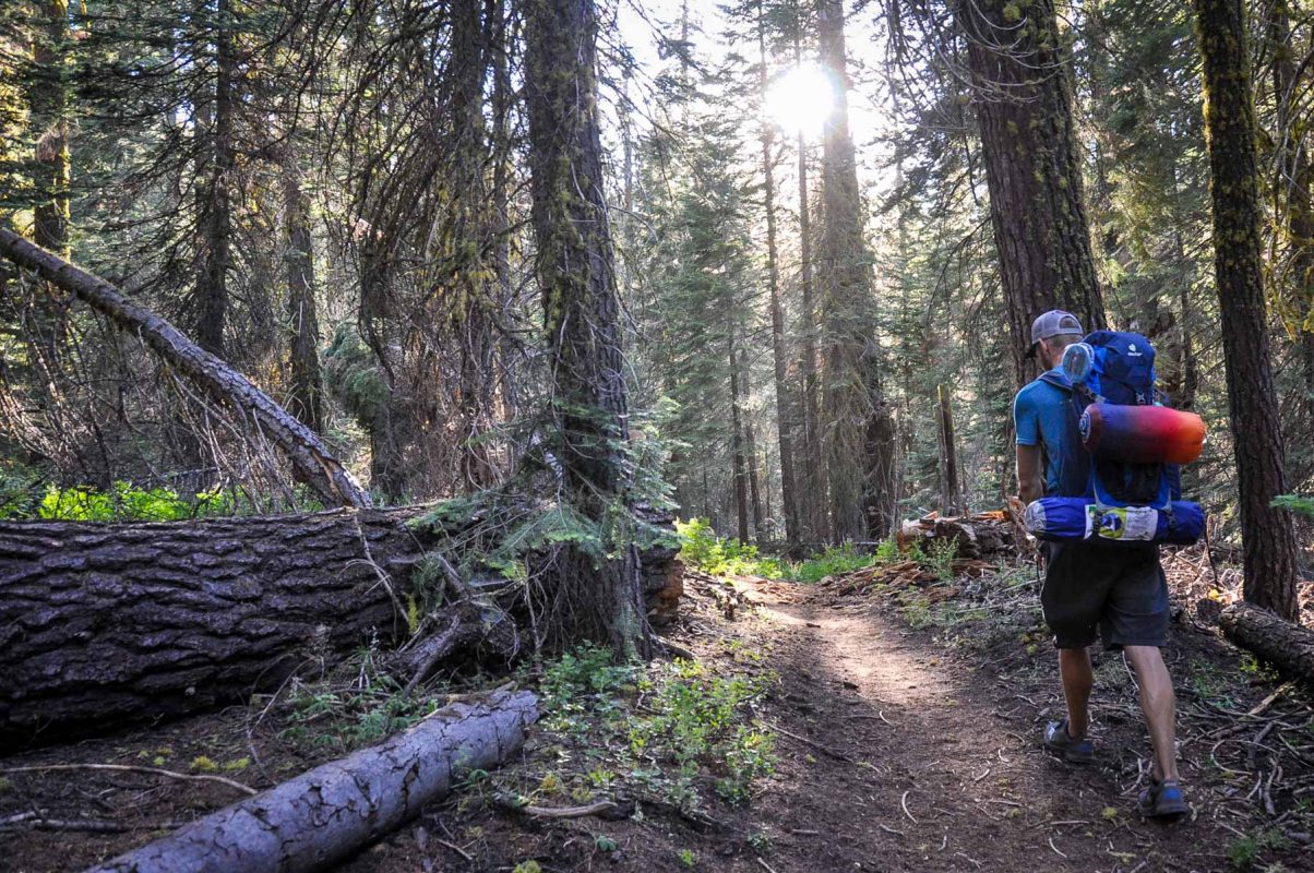 Hiking in Yosemite National Park