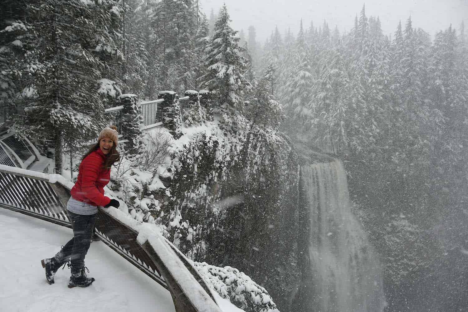 McCredie Hot Springs How to Get There & What to Expect Go Wander Wild