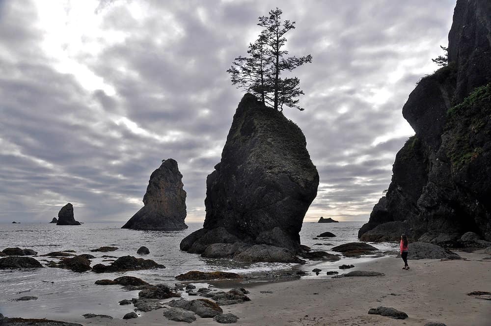 Hiking around Shi Shi Beach Best Hikes in Washington State