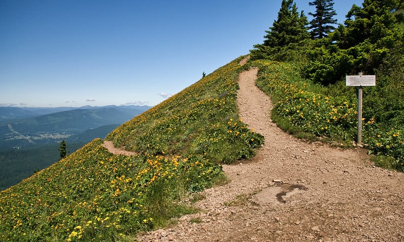Hiking around Dog Mountain Trail Hikes in Washington State