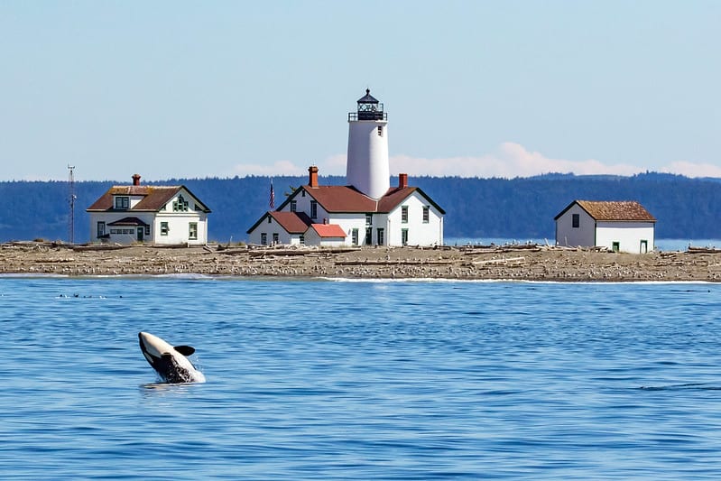 Hiking around Dungeness Spit Best Hikes in Washington State