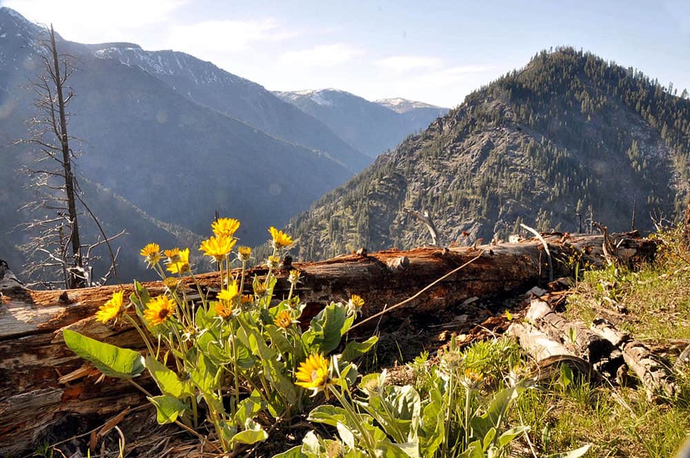 Hiking around Icicle Ridge Best Hikes in Washington State