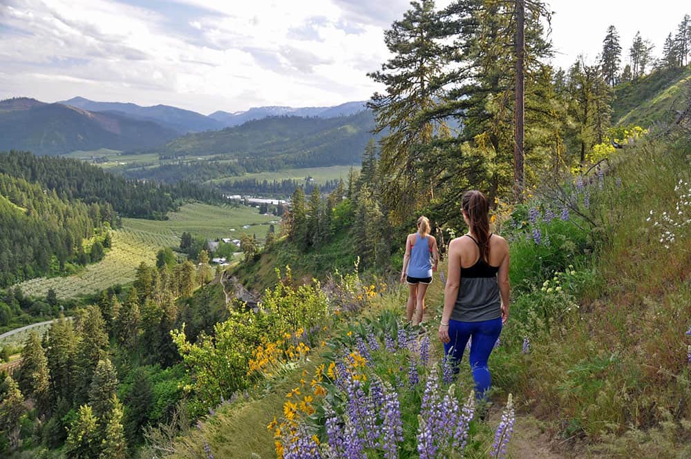 Hiking around Sauer’s Mountain Best Hikes in Washington State