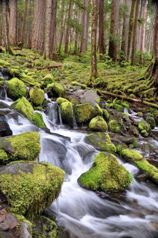 Top 50 Hikes in Washington State - Go Wander Wild