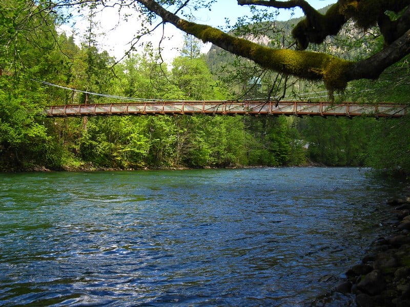 Hiking around Trail of Cedars Best Hikes in Washington State