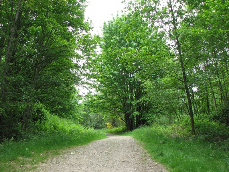 Hiking around Wildside Best Hikes in Washington State