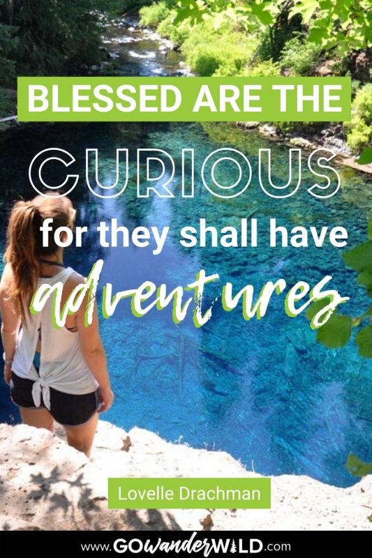 Lovelle Drachman Adventure Quote | Go Wander Wild
