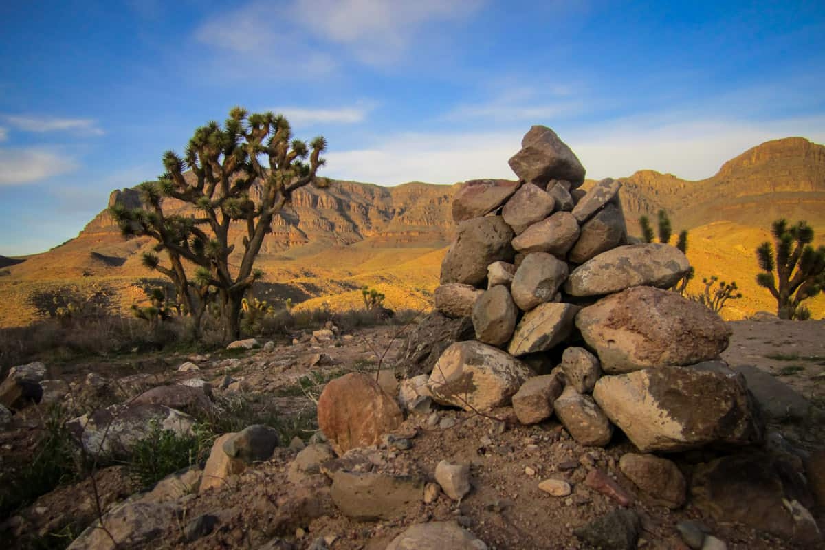 Joshua Tree National Park