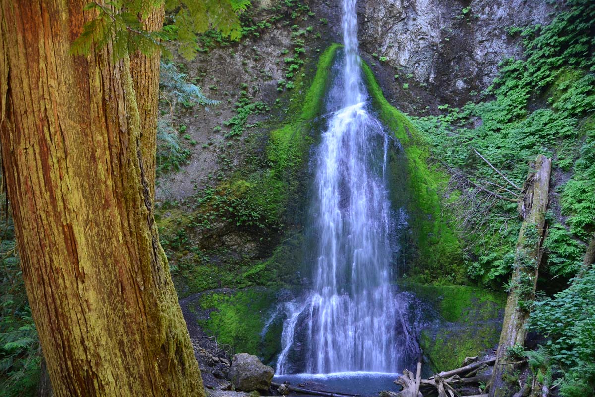 Marymere falls shop trail