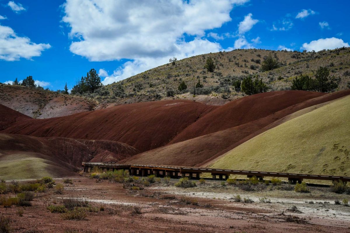 are dogs allowed at painted hills oregon