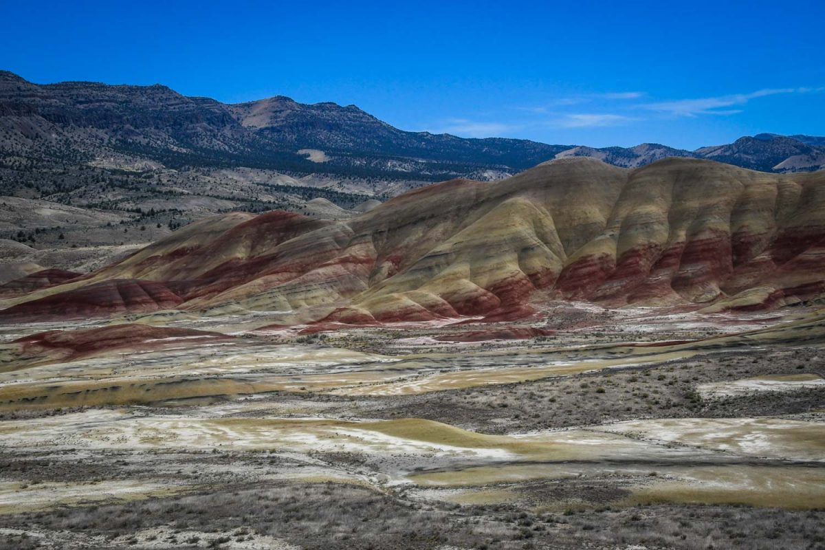 are dogs allowed at painted hills oregon