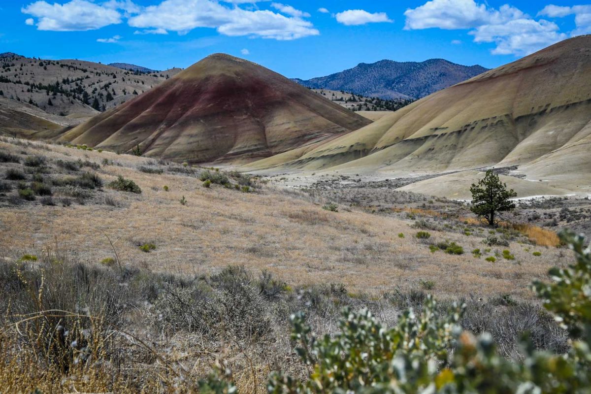 Painted Hills Oregon | Go Wander Wild