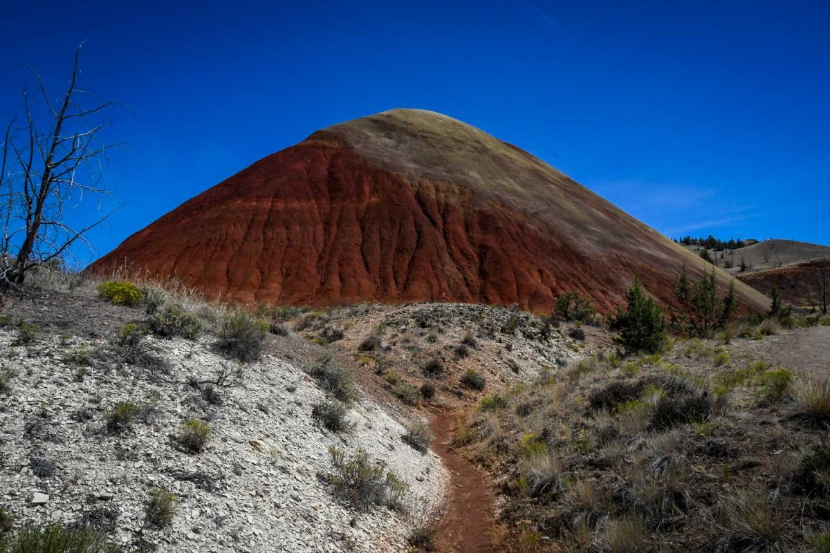 Painted Hills Oregon | Red Scar Knoll Trail