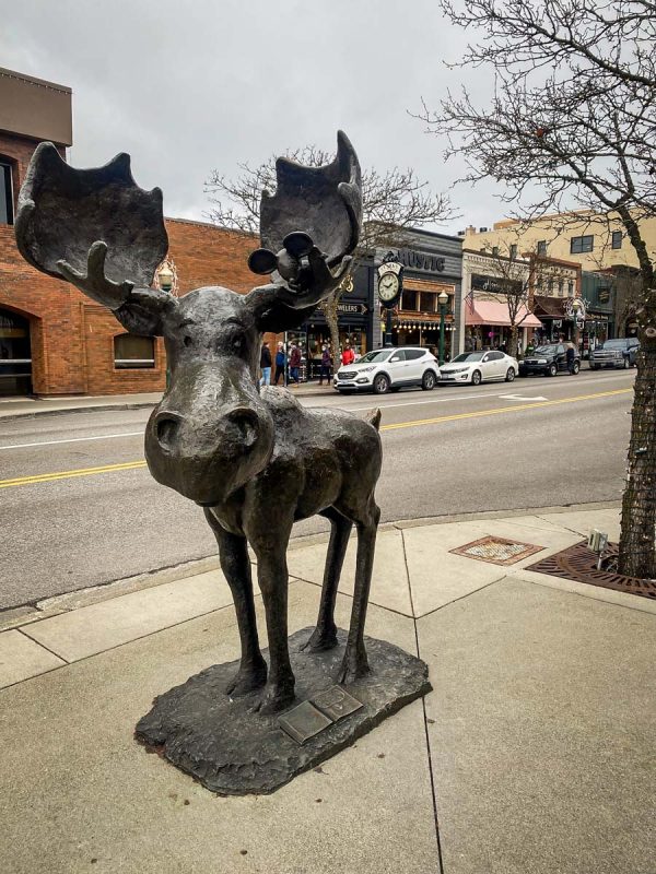 Things to Do In Coeur d’Alene | Mudgy Moose Statue