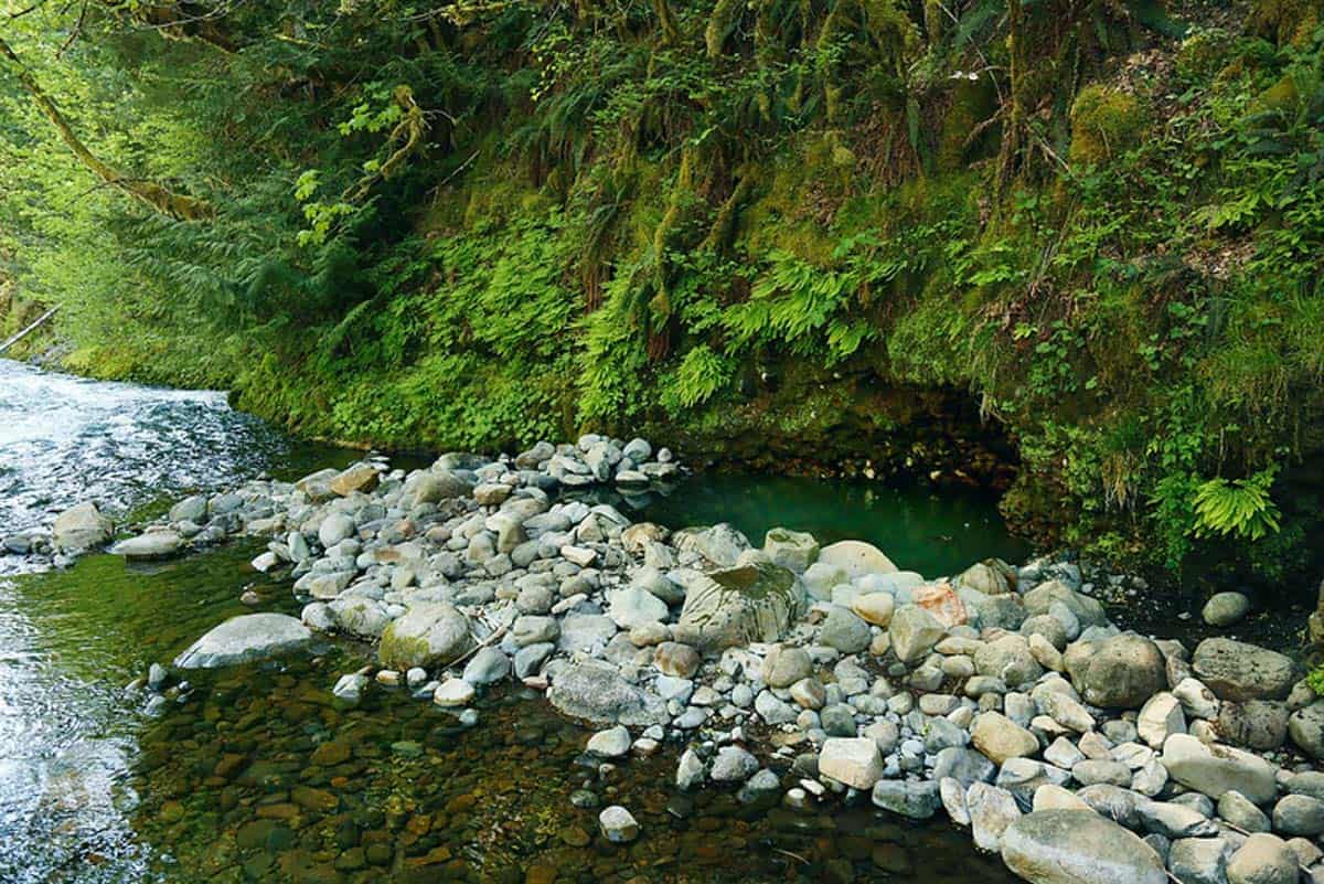 Hot Springs in Oregon: Bigelow Hot Springs