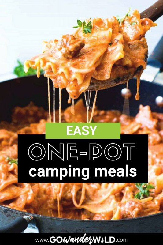 Instant pot discount recipes for camping