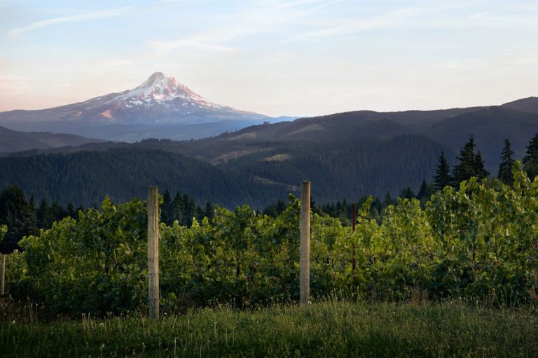 12 Best Hood River Wineries to Visit in Northern Oregon - Go Wander Wild