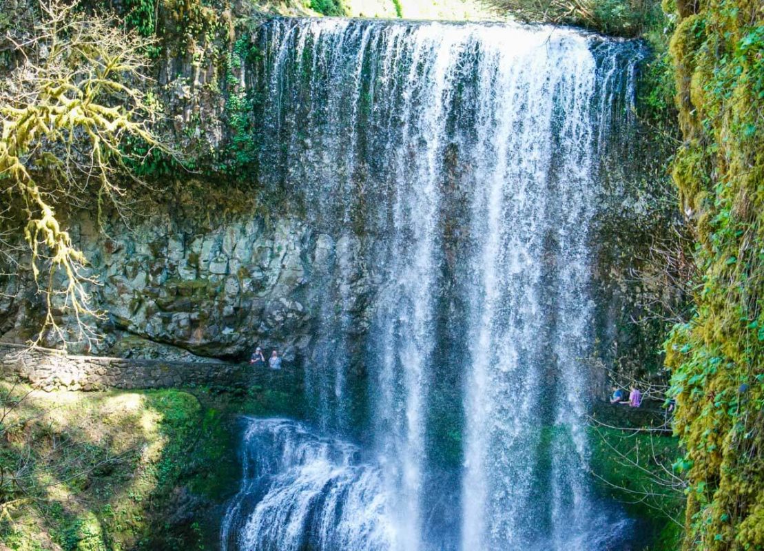 Silver Falls State Park What To Expect Best Hikes Go Wander Wild