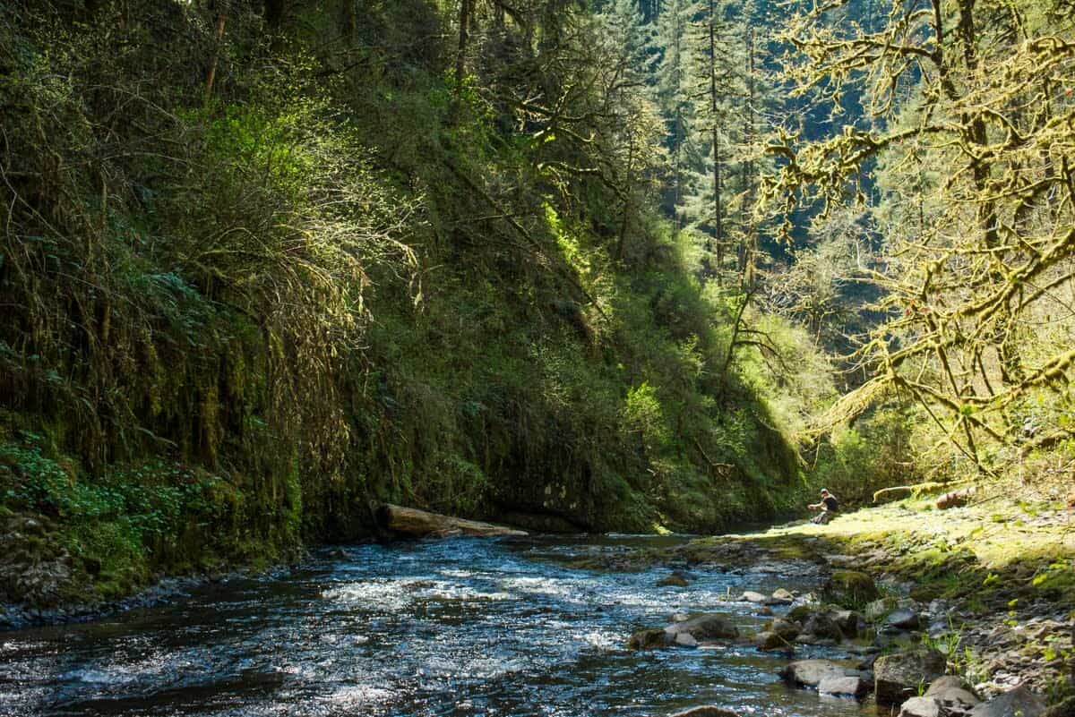 Silver Falls State Park Hiking