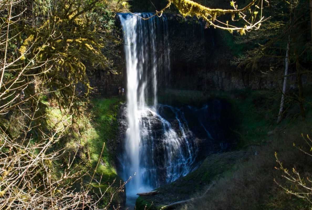 Silver Falls State Park | Middle North Falls