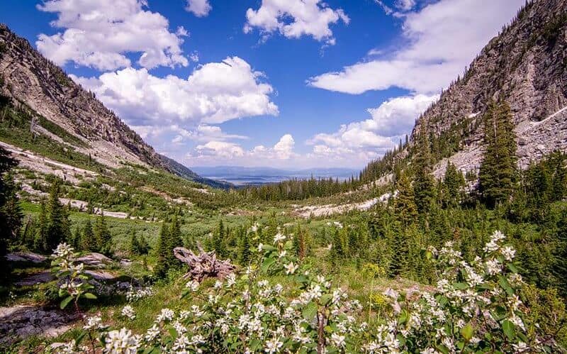 Paintbrush Canyon | Image source: David Darling via Flickr