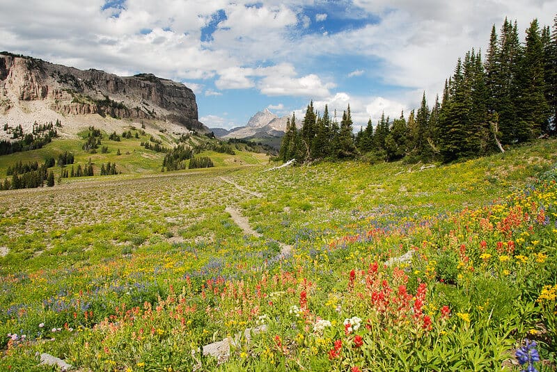 Teton Crest Trail | Image source: Laurent Lecordier via Flickr