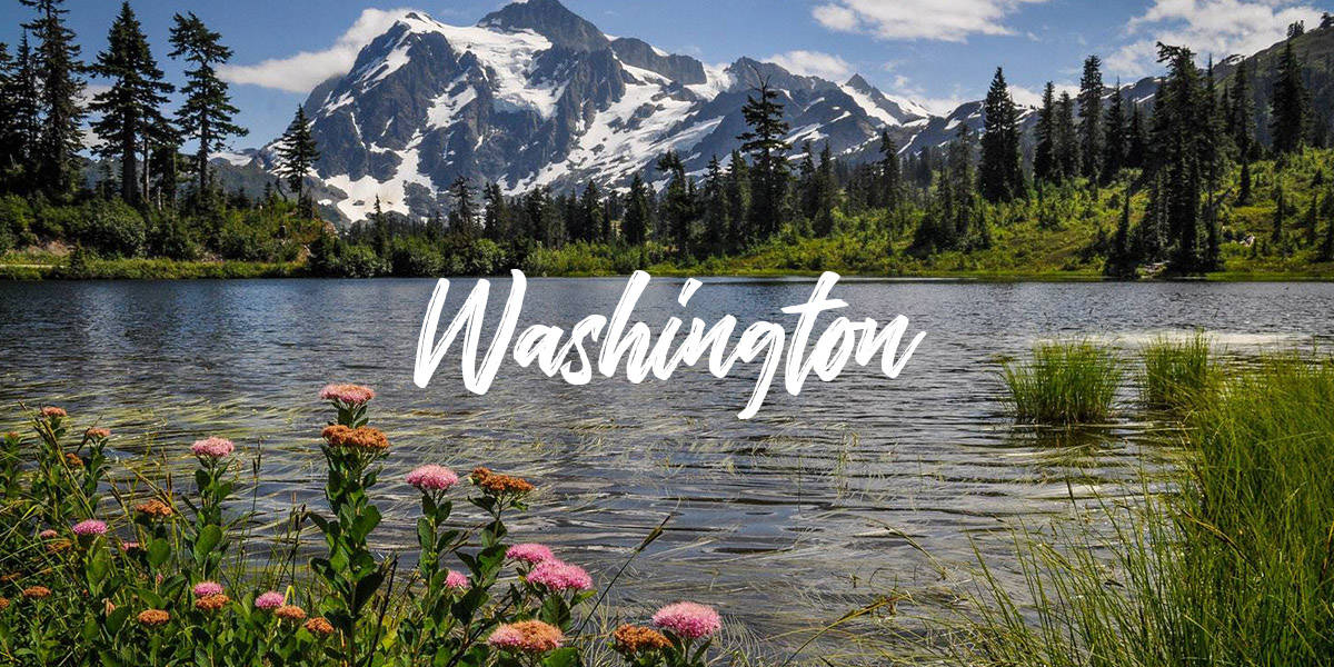 Washington Banner | Go Wander Wild