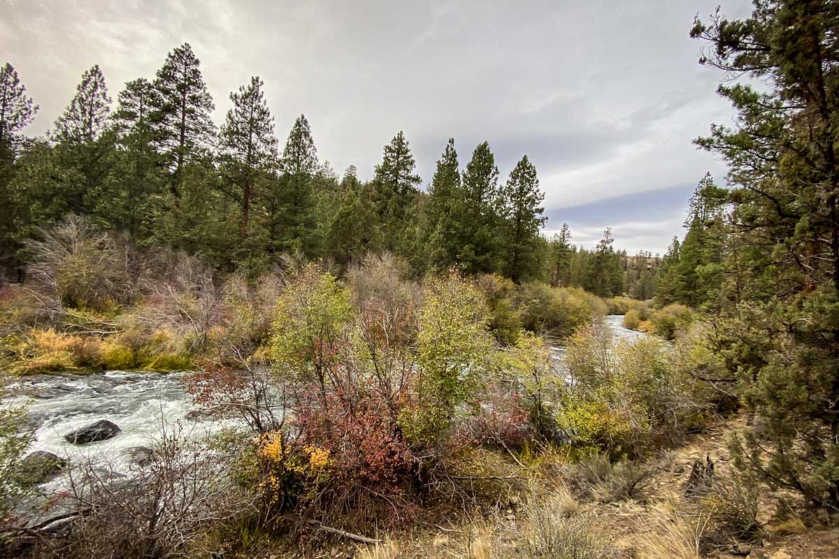 Riley Ranch Trail (Mike Estes)