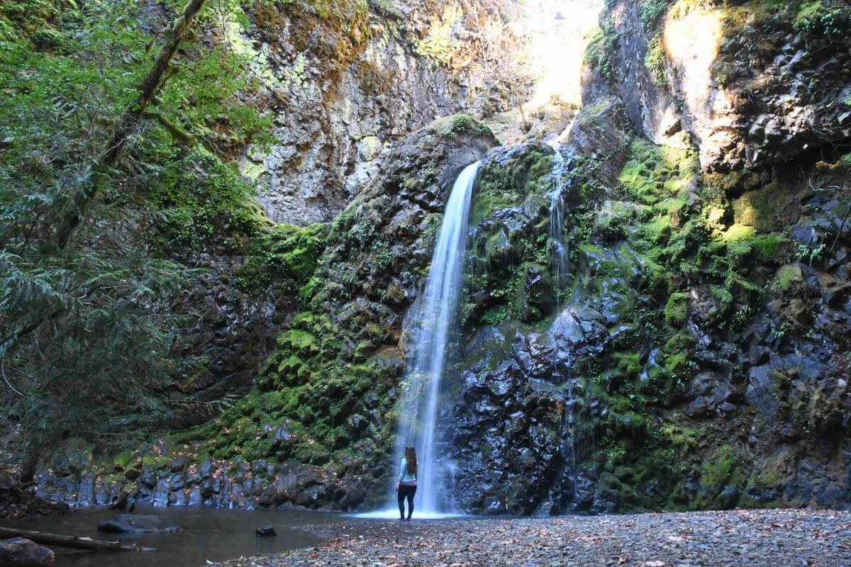 Fall Creek Falls in Umpqua National Forest