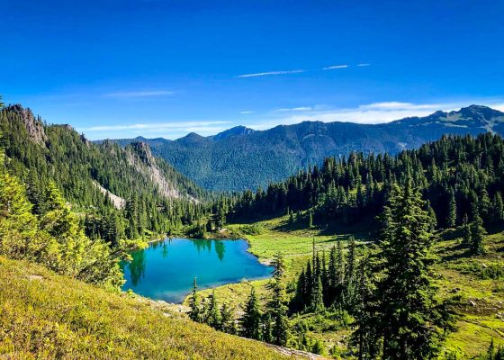 20 Best Hikes in Olympic National Park - Go Wander Wild