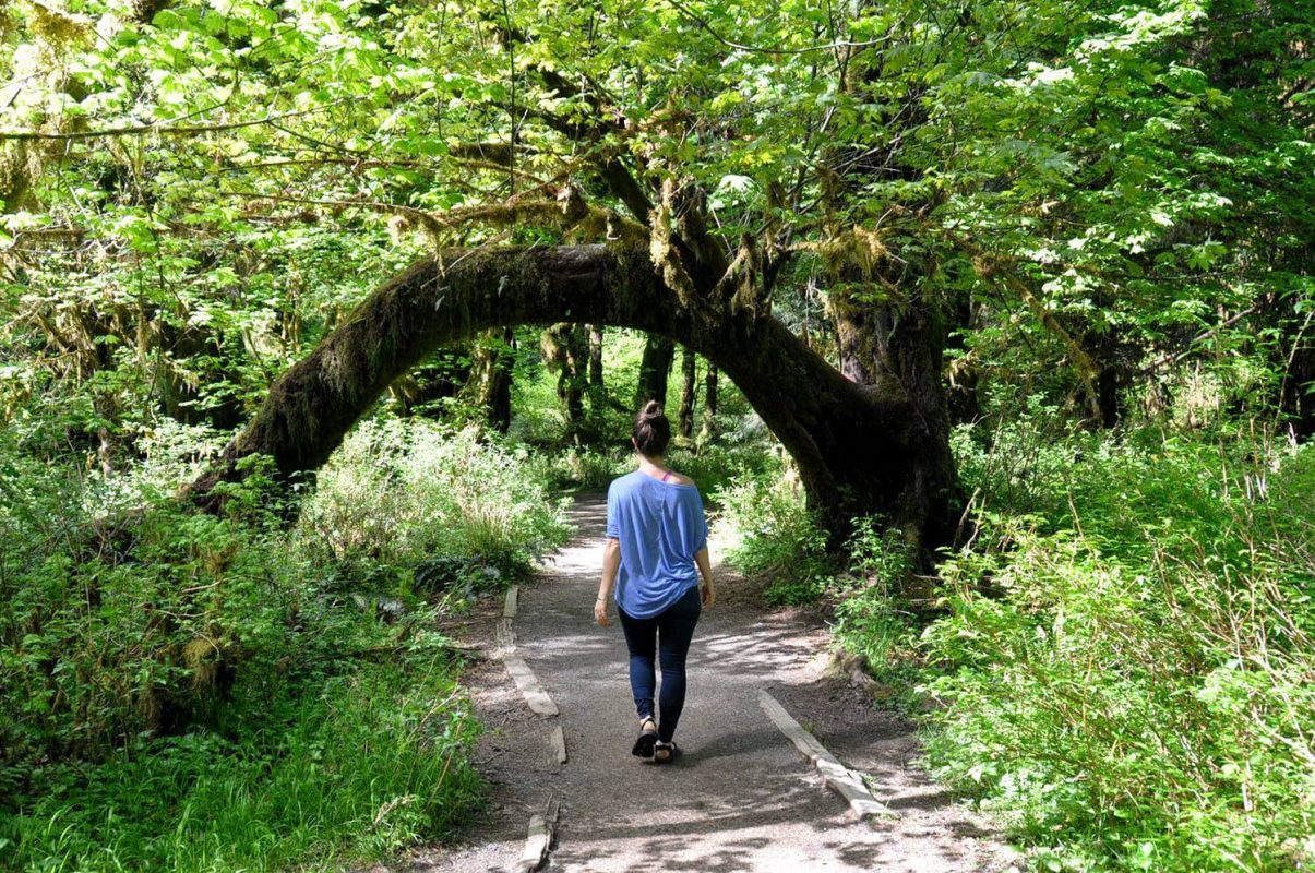 Hall of Mosses trail, Olympic National Park Hikes | Hoh Rainforest