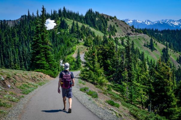 Top 50 Best Hikes in Washington State - Go Wander Wild