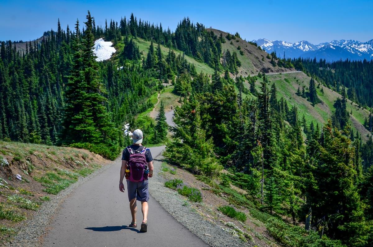 20 Best Hikes in Olympic National Park - Hurricane Hill2