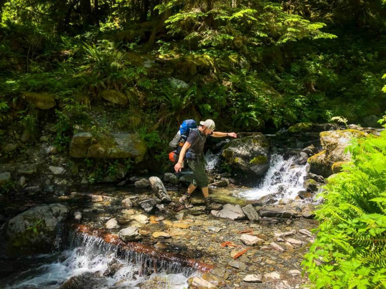 Enchanted Valley Trail Guide: One of the best hikes in the Olympic ...