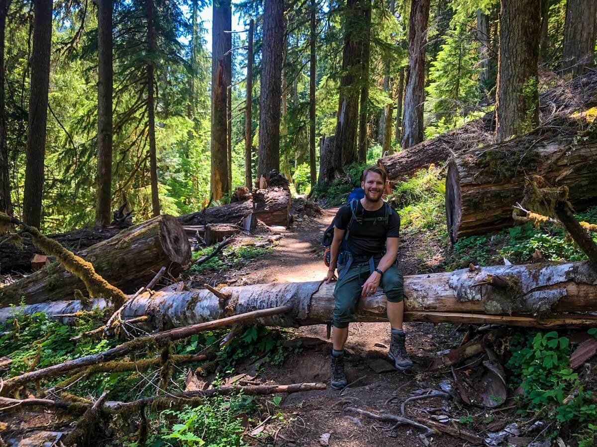 Enchanted Valley Trail Guide: One of the best hikes in the Olympic ...