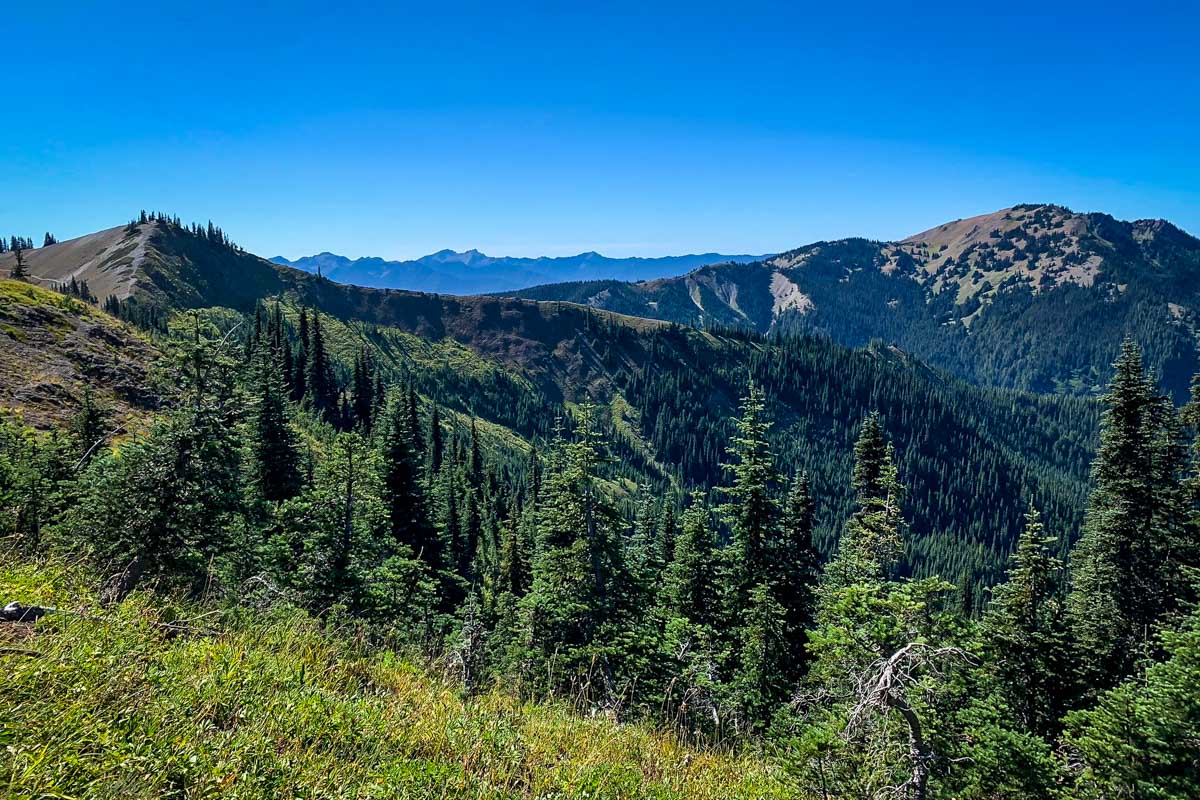 Olympic national park clearance alltrails