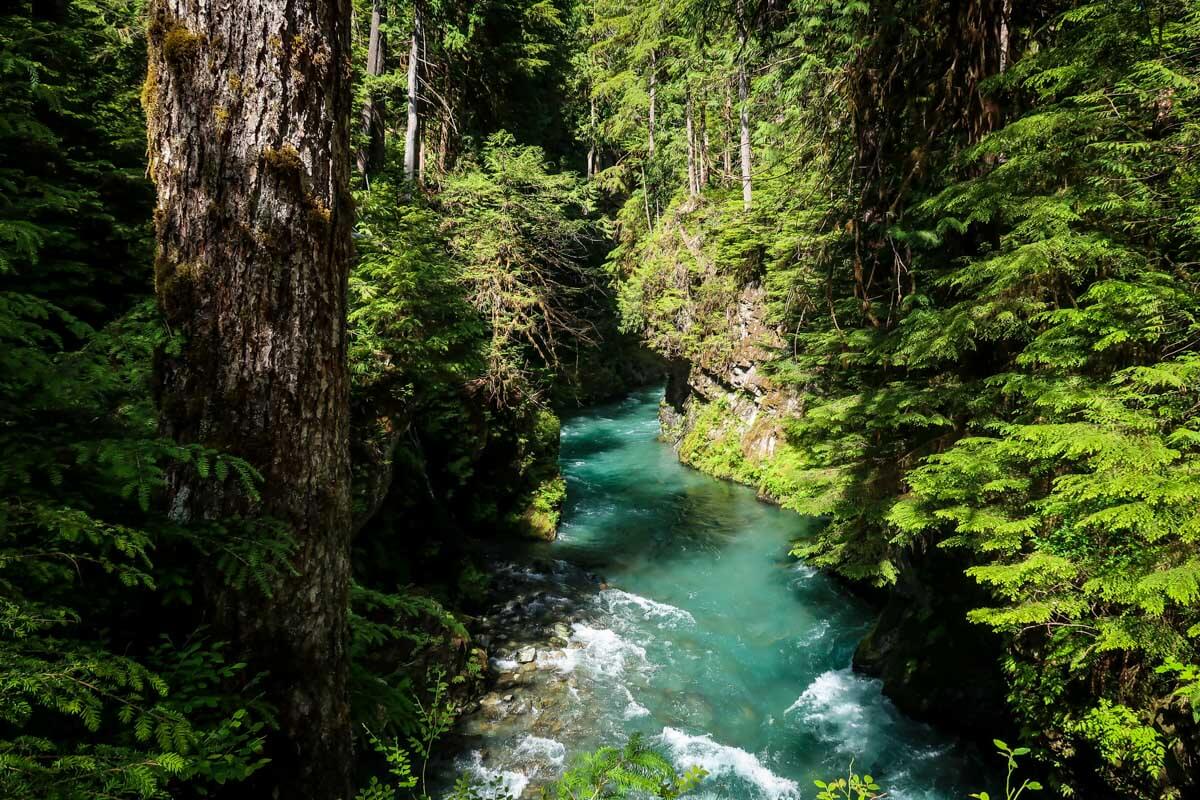 Enchanted valley trail olympic hotsell national park