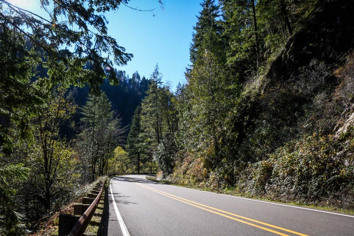 Umpqua Highway on the way to Umpqua Hot Springs