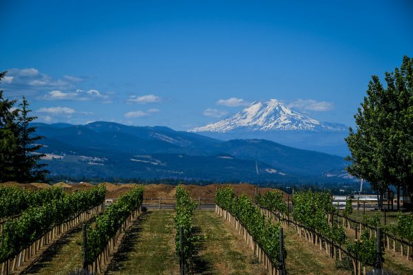 12 Best Hood River Wineries to Visit in Northern Oregon - Go Wander Wild