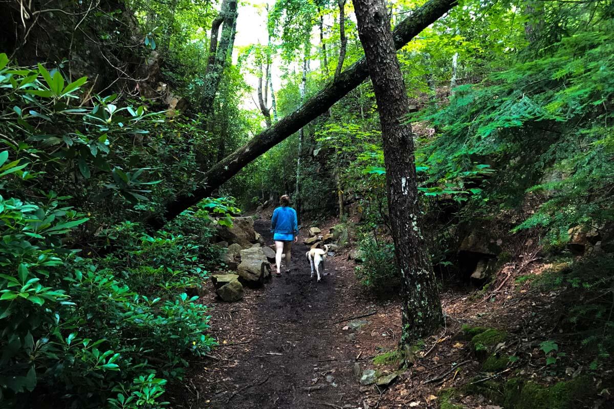 Hiking Trail Etiquette | | Image by Parker Bruer