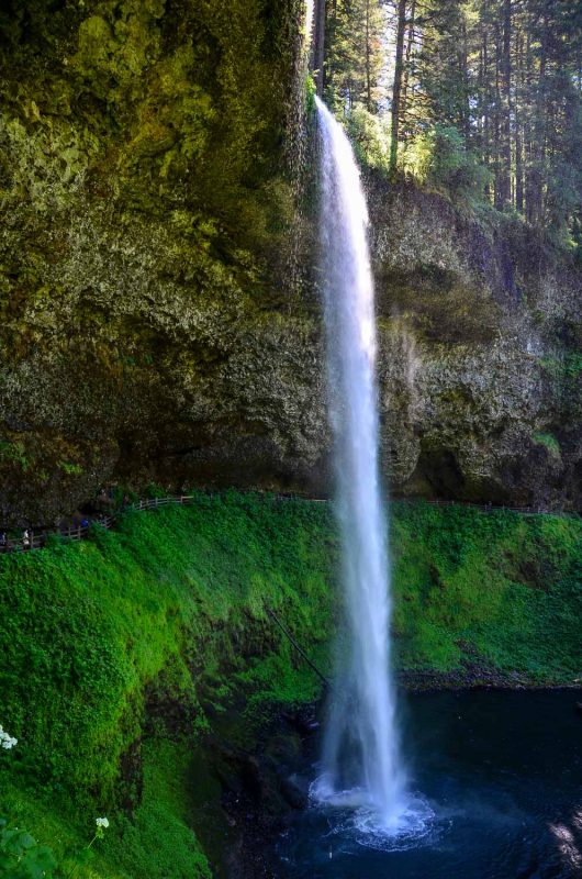 Silver Falls State Park: melhores trilhas curtas