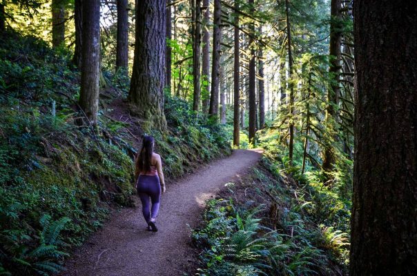 50 Best Hikes In Oregon (for Every Ability Level!) - Go Wander Wild