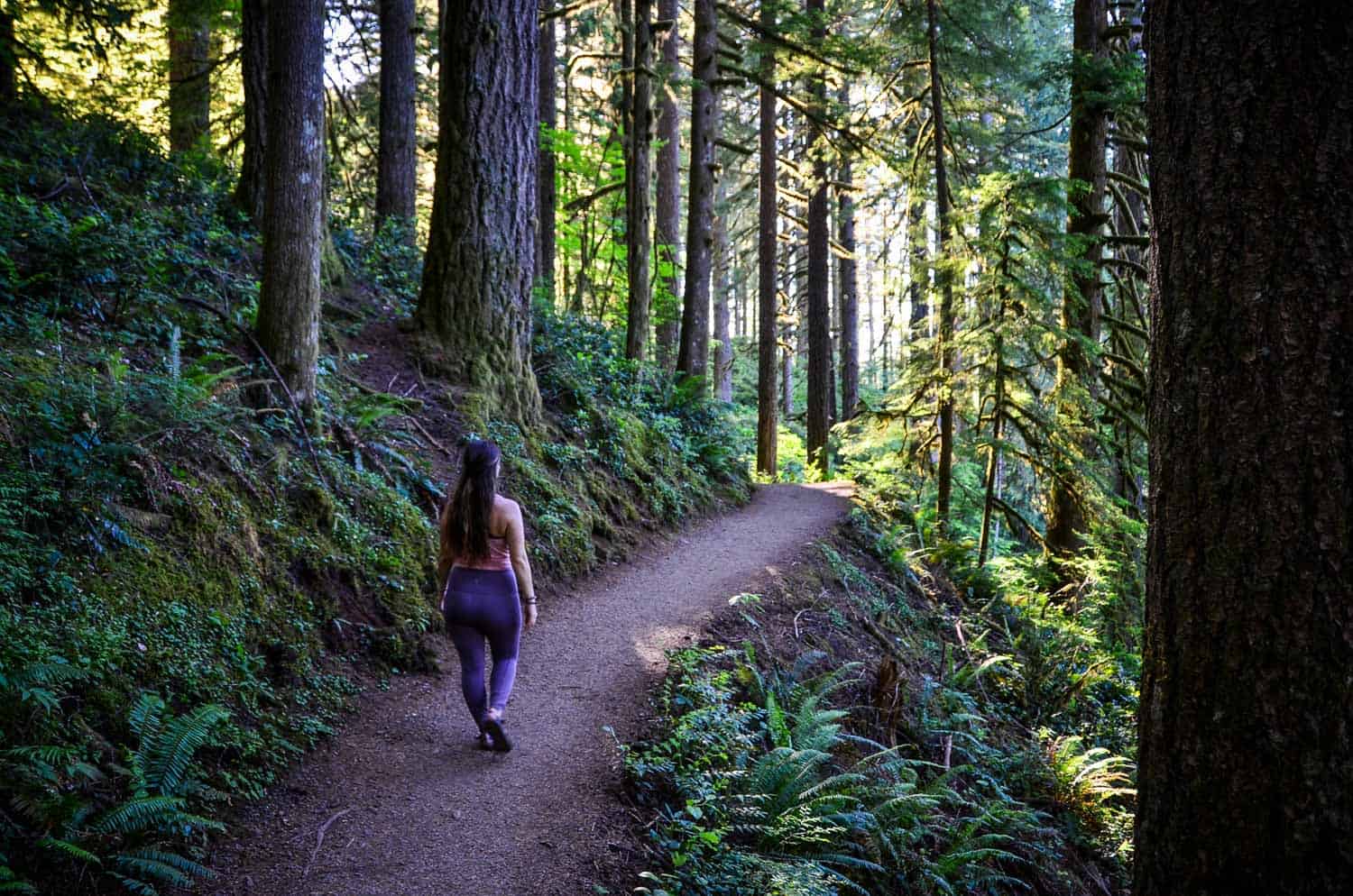 Oregon's other Eagle Creek Trail is a charming pocket of forest wilderness  