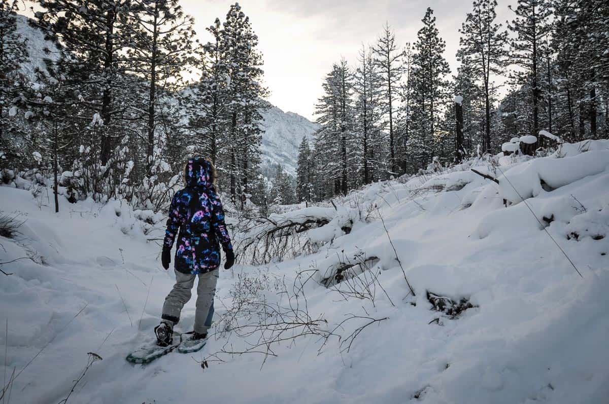 Snowshoeing for Beginners: Everything You Need to Know - Go Wander Wild