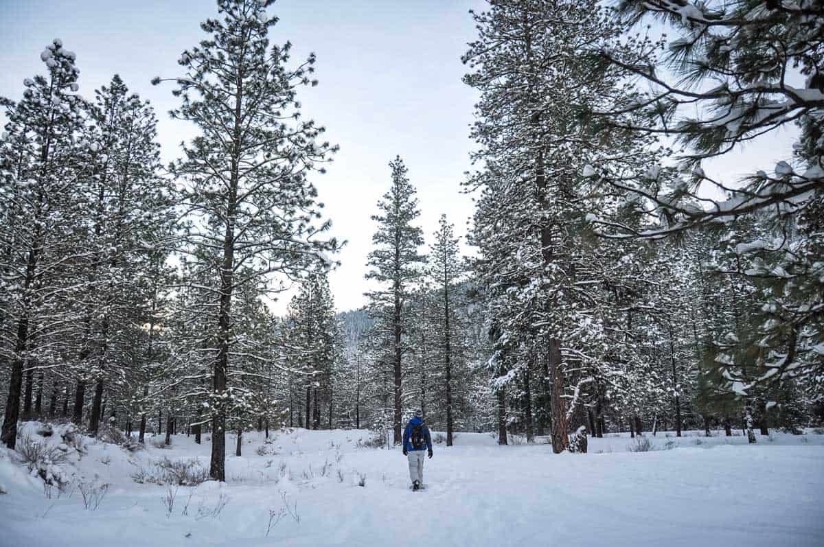 Snowshoeing
