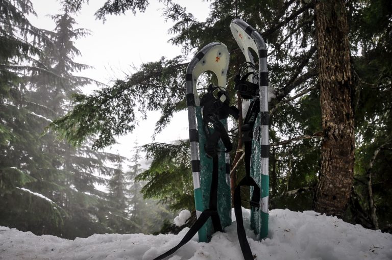 Snowshoeing for Beginners Everything You Need to Know Go Wander Wild