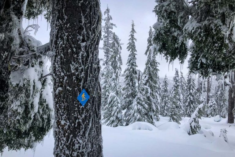 Snowshoeing for Beginners Everything You Need to Know Go Wander Wild