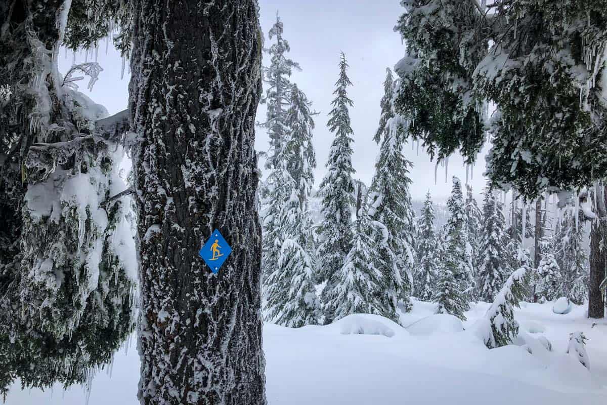 snowshoeing trails