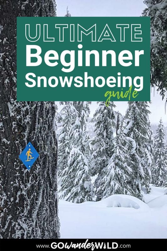 Snowshoeing For Beginners, The Ultimate Guide